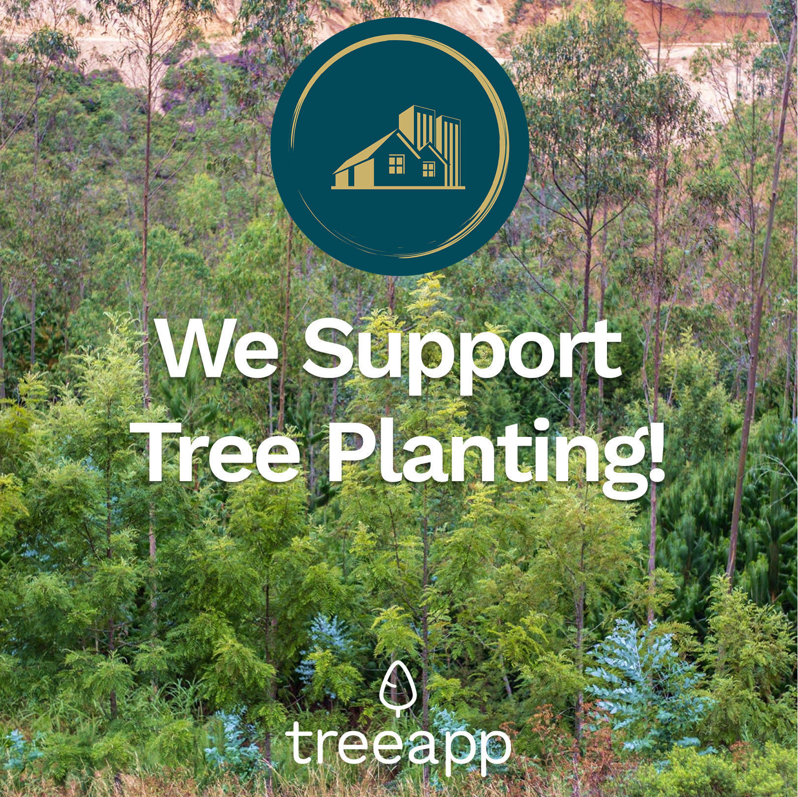 We support tree planting with Treeapp