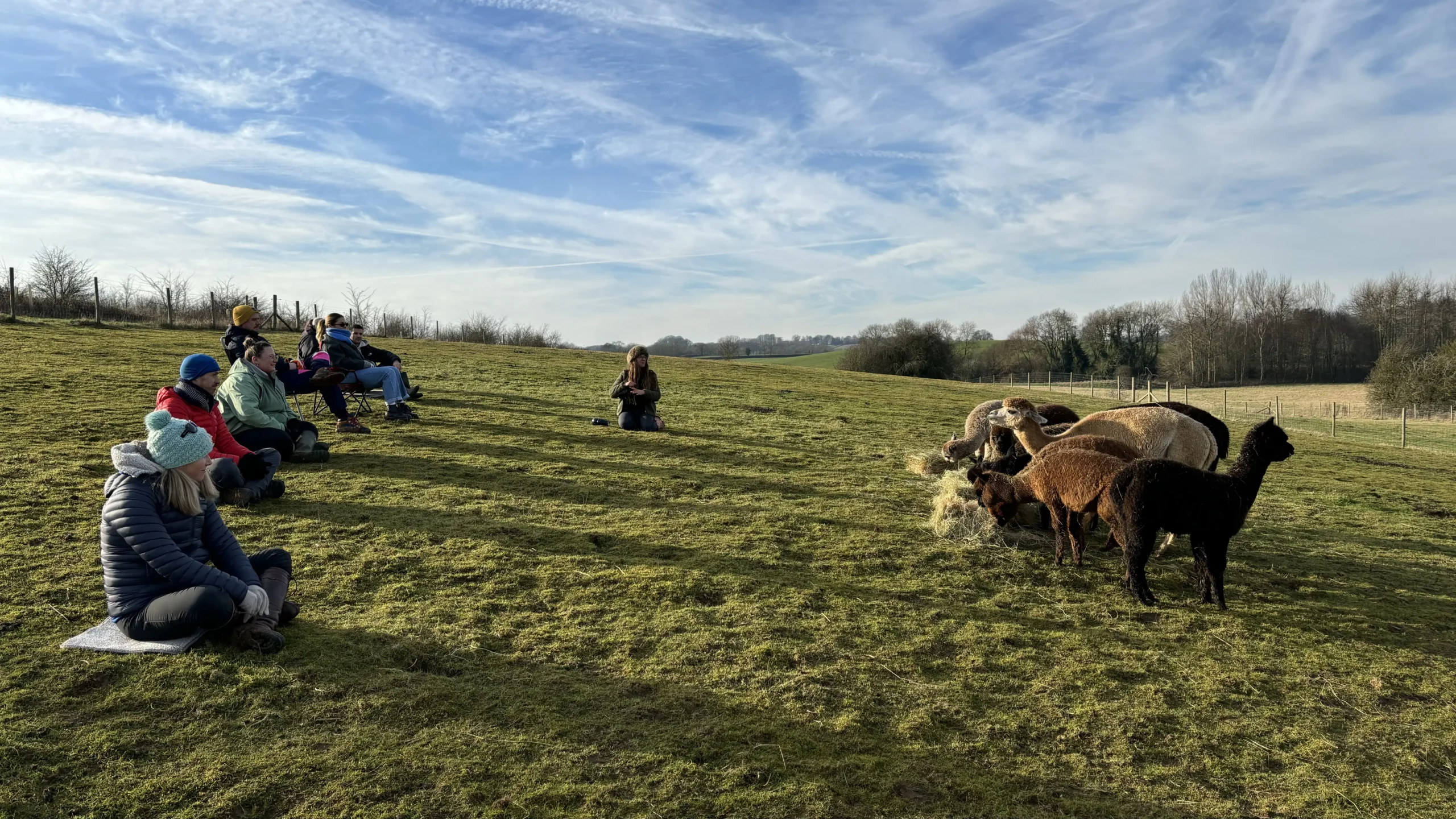 Rooted in Sustainability: Our Tree Planting Day with Treeapp