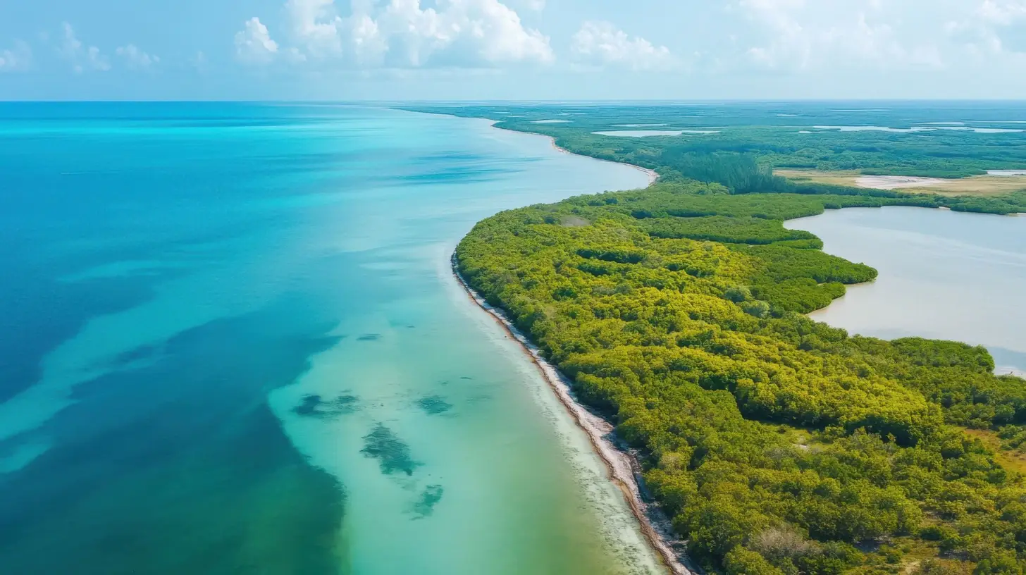 Planning by Design x Treeapp: Our Environmental Impact in 2025